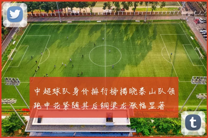 中超球队身价排行榜揭晓泰山队领跑申花紧随其后铜梁龙涨幅显著